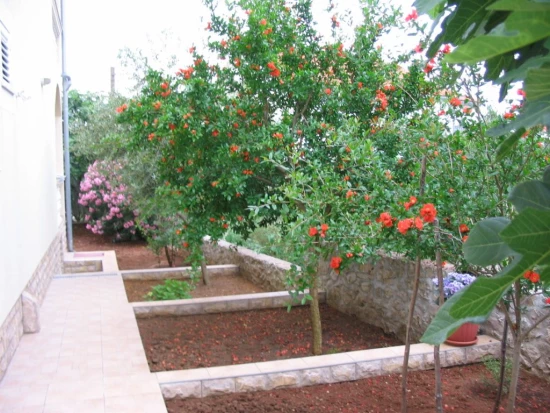 Apartmán Severní Dalmácie - Vodice DA 7439 N2