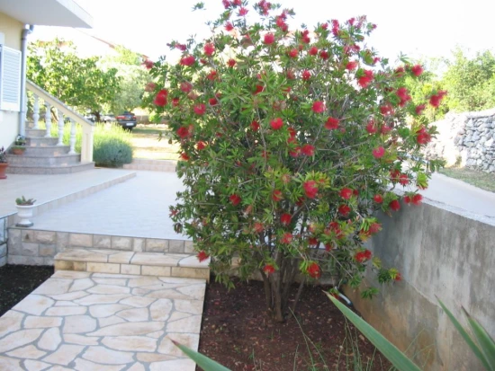 Apartmán Severní Dalmácie - Vodice DA 7439 N2