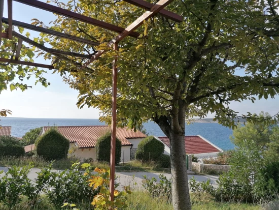 Domek Ostrov Cres - Martinšćica OS 9557 N1