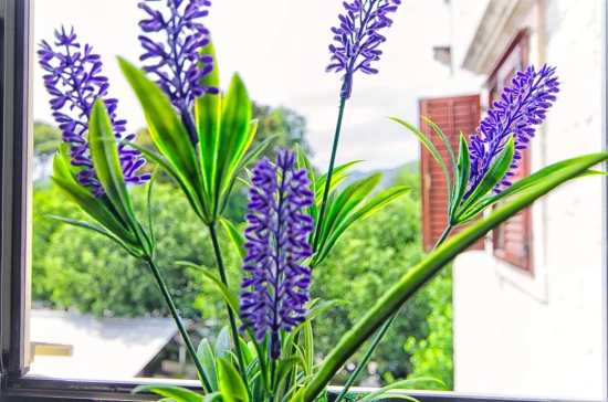 Apartmán Střední Dalmácie - Trogir DA 7442 N6