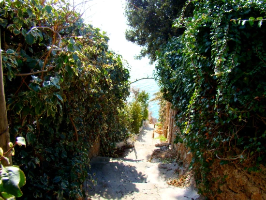 Apartmán Střední Dalmácie - Staniči DA 7445 N2