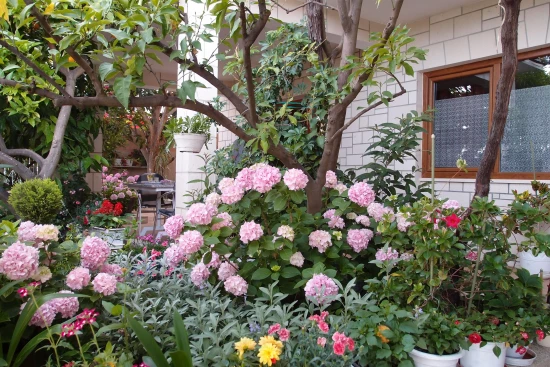 Apartmán Střední Dalmácie - Trogir DA 7446 N2