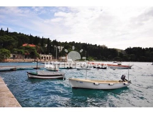 Domek Jižní Dalmácie - Cavtat (Dubrovník) DA 7447 N1