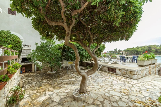 Apartmán Ostrov Korčula - Prižba OS 9567 N1