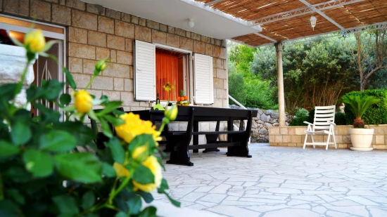 Domek Jižní Dalmácie - Trsteno DA 7450 N1