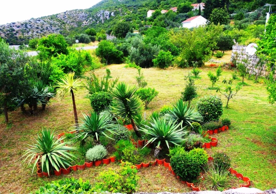 Domek Jižní Dalmácie - Trsteno DA 7450 N1