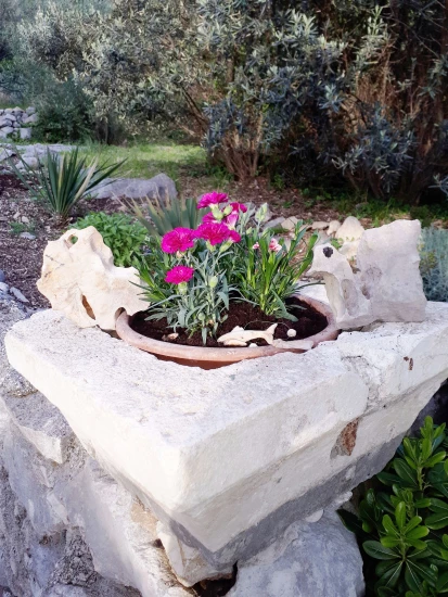 Domek Jižní Dalmácie - Trsteno DA 7450 N1