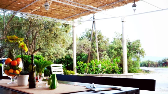 Domek Jižní Dalmácie - Trsteno DA 7450 N1