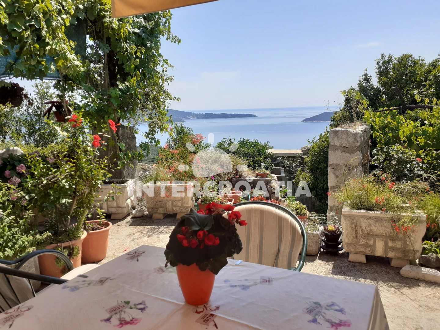 Apartmán Jižní Dalmácie - Trsteno DA 7453 N1