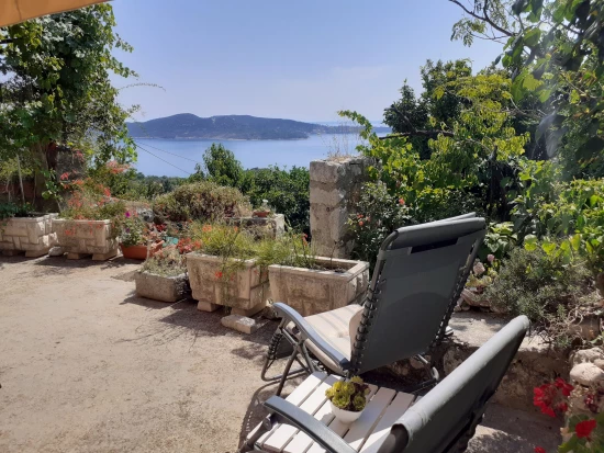 Apartmán Jižní Dalmácie - Trsteno DA 7453 N1