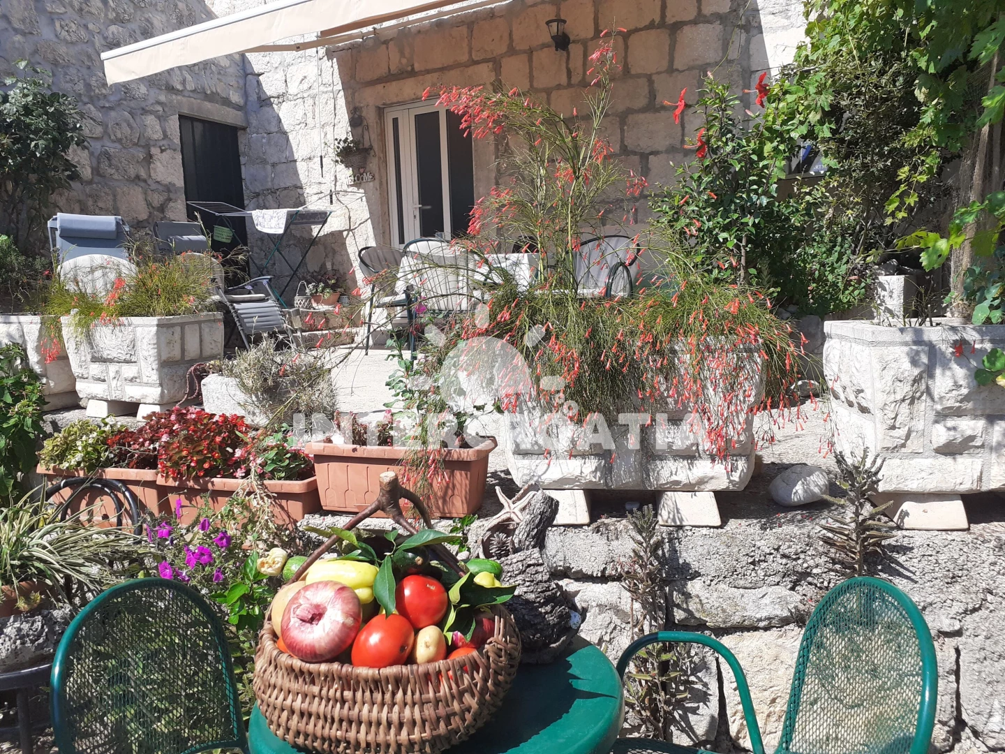 Apartmán Jižní Dalmácie - Trsteno DA 7453 N1