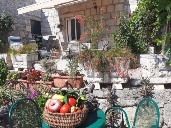 Apartmán Jižní Dalmácie - Trsteno DA 7453 N1