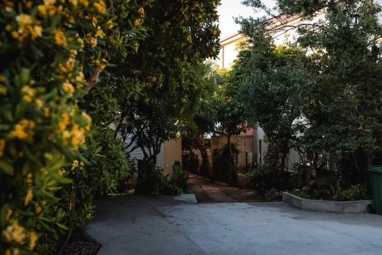 Apartmán Jižní Dalmácie - Orebić DA 7457 N1