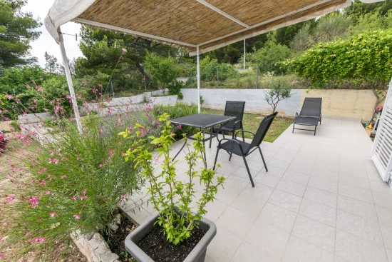 Apartmán Severní Dalmácie - Primošten DA 7462 N1