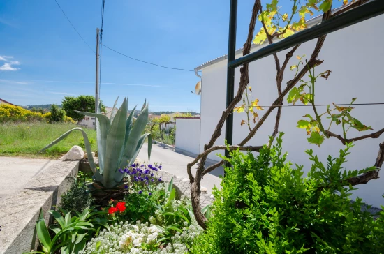 Apartmán Ostrov Rab - Lopar OS 9589 N2