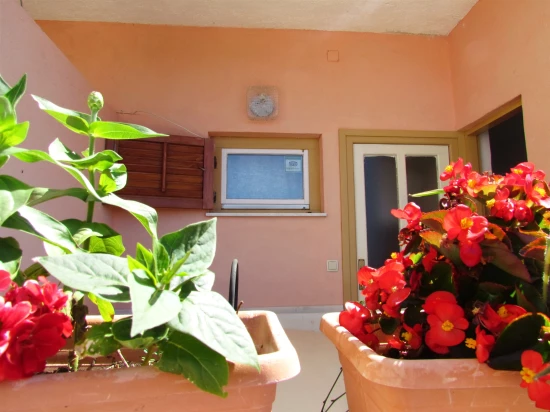 Apartmán Ostrov Rab - Barbat OS 9595 N3