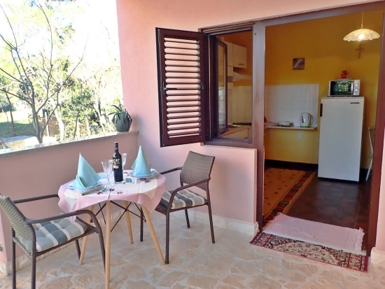 Apartmán Severní Dalmácie - Seline DA 7503 N1