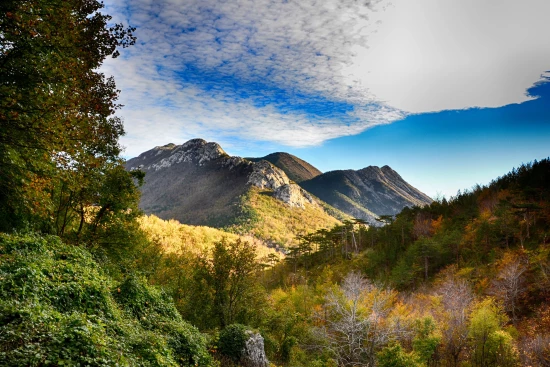 Apartmán Severní Dalmácie - Seline DA 7503 N3