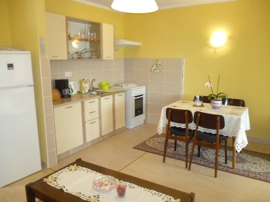 Apartmán Severní Dalmácie - Seline DA 7503 N3