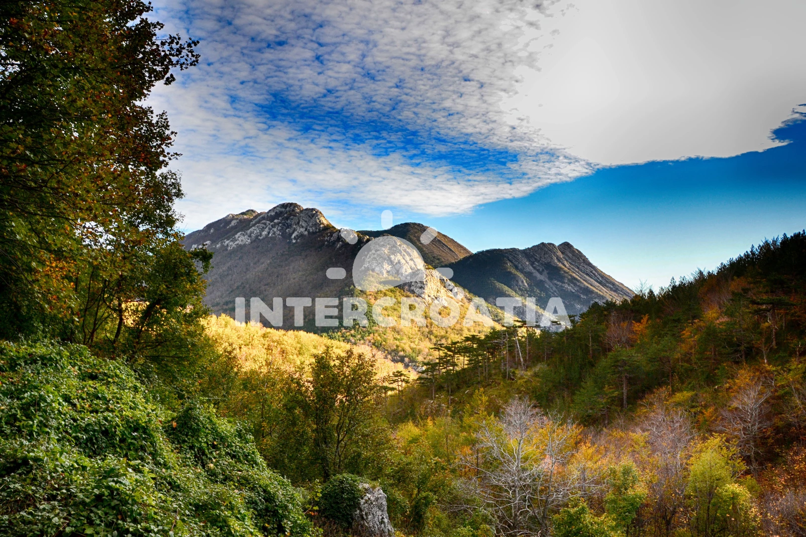 Apartmán Severní Dalmácie - Seline DA 7503 N4