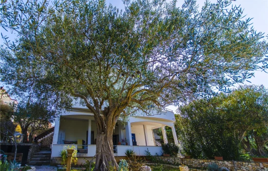 Apartmán Střední Dalmácie - Okrug Gornji DA 7506 N2