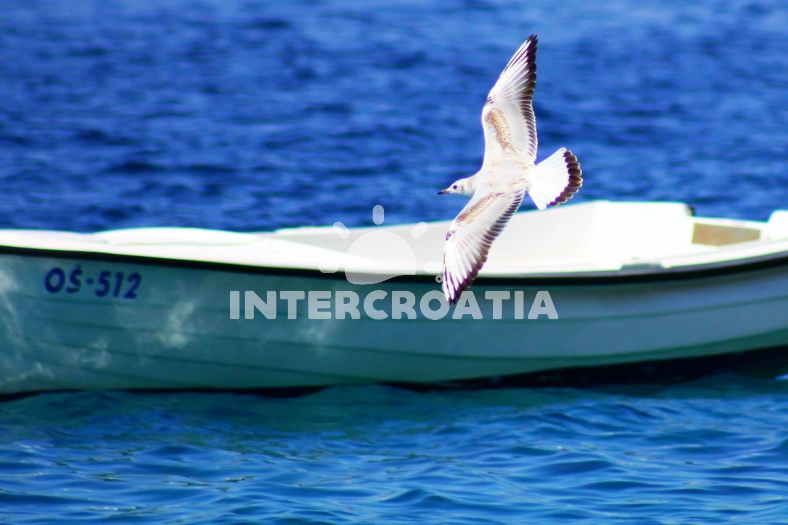 Apartmán Střední Dalmácie - Pisak DA 7508 N2