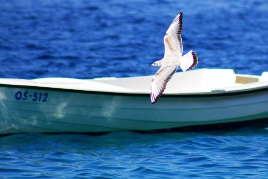 Apartmán Střední Dalmácie - Pisak DA 7508 N3