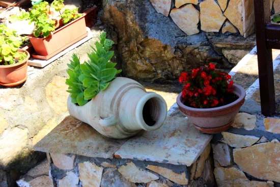 Apartmán Střední Dalmácie - Marušići (Omiš) DA 7512 N2