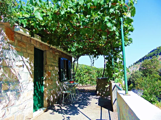 Domek Ostrov Brač - Postira OS 9600 N1