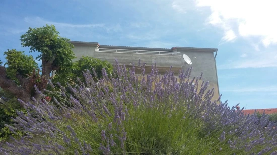 Apartmán Ostrov Pag - Jakišnica OS 9604 N4