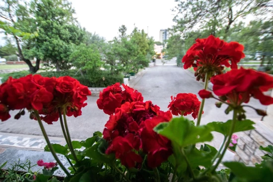 Apartmán Severní Dalmácie - Starigrad Paklenica DA 7522 N2