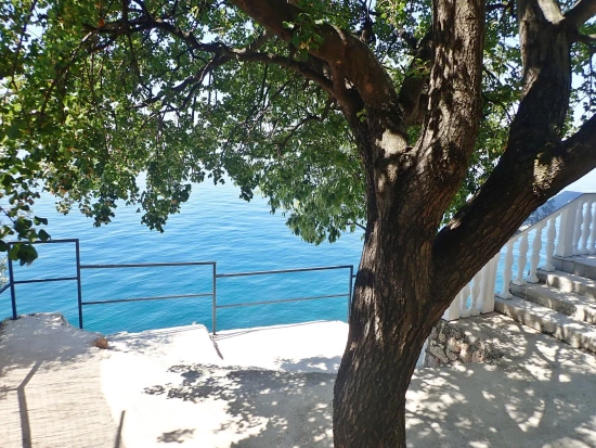 Apartmán Severní Dalmácie - Tribanj (Starigrad) DA 7526 N2