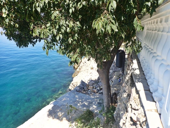 Apartmán Severní Dalmácie - Tribanj (Starigrad) DA 7526 N2