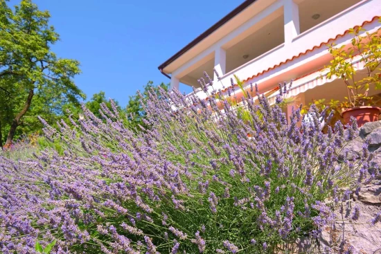 Domek Kvarner - Ičići KV 7095 N1