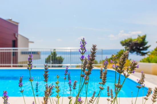 Vila Střední Dalmácie - Duće DA 7529 N1