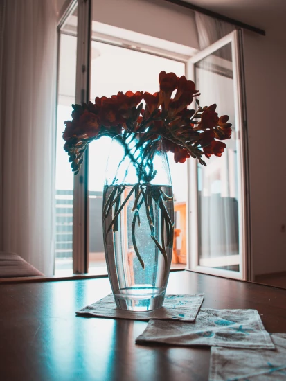 Apartmán Istrie - Štinjan IS 7053 N1