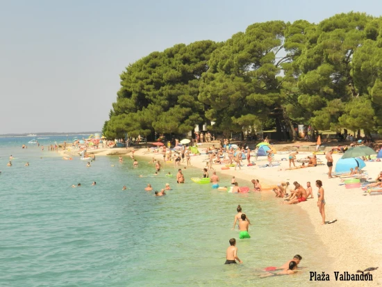 Apartmán Istrie - Štinjan IS 7053 N2