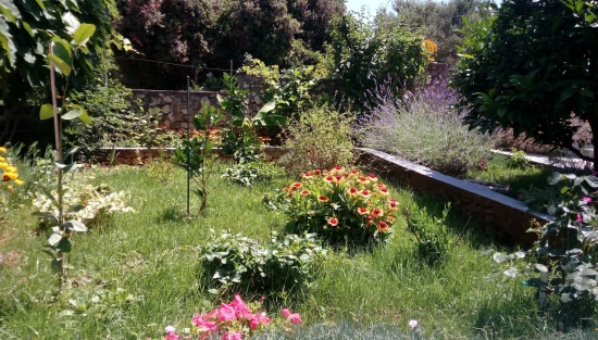 Apartmán Severní Dalmácie - Ražanj DA 7538 N1