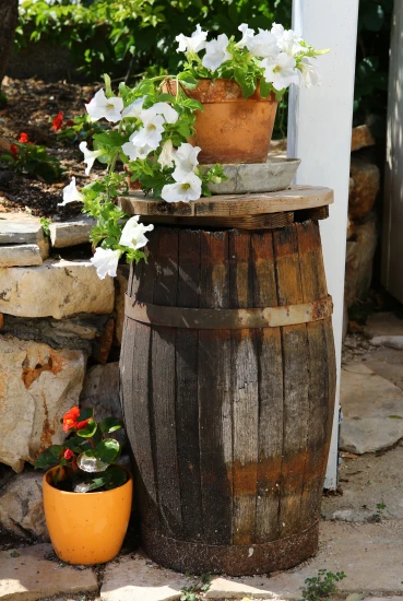 Domek Střední Dalmácie - Vinišće DA 7553 N1