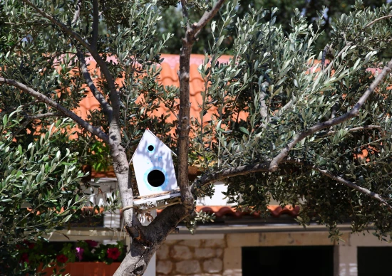 Domek Střední Dalmácie - Vinišće DA 7553 N1