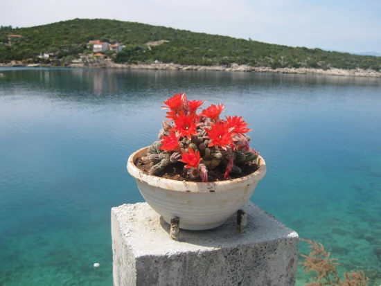 Apartmán Ostrov Hvar - Gdinj OS 9627 N2