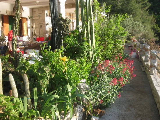 Apartmán Ostrov Hvar - Gdinj OS 9627 N2