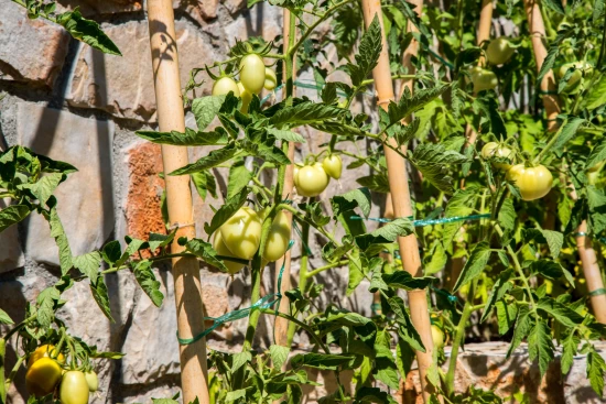 Apartmán Ostrov Hvar - Gdinj OS 9627 N2