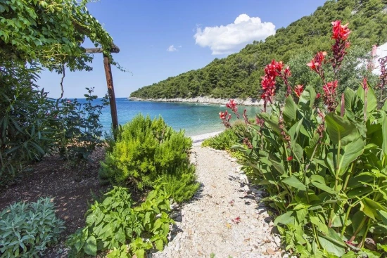 Apartmán Ostrov Hvar - Gdinj OS 9632 N1