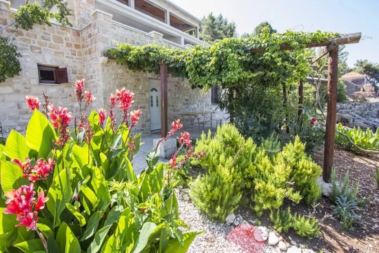 Apartmán Ostrov Hvar - Gdinj OS 9632 N1