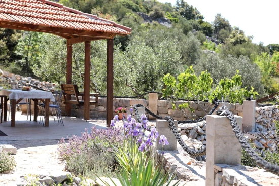 Domek Ostrov Pašman - Tkon OS 9634 N1