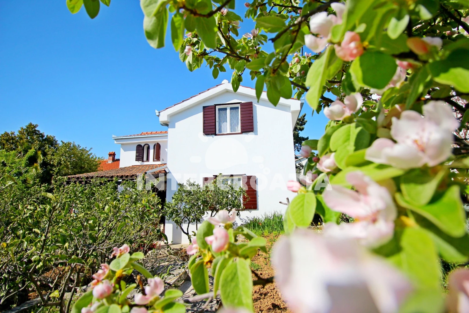 Domek Střední Dalmácie - Okrug Donji DA 7575 N1