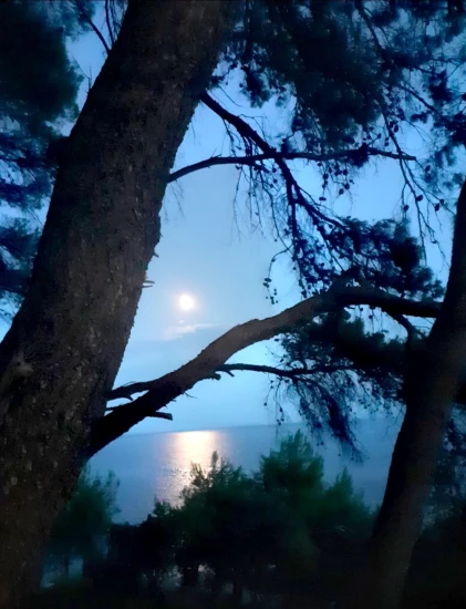 Apartmán Střední Dalmácie - Blato DA 7576 N1