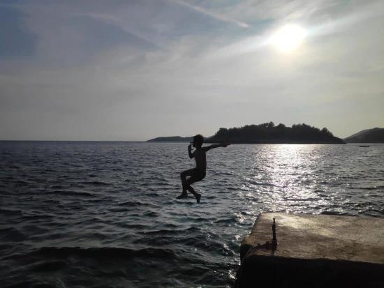 Apartmán Střední Dalmácie - Blato DA 7576 N1