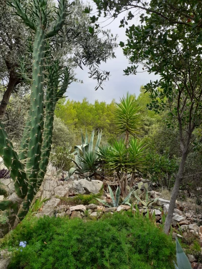 Apartmán Střední Dalmácie - Blato DA 7576 N1